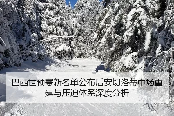 ba-xi-shi-yu-sai-xin-ming-dan-gong-bu-hou-an-qie-luo-di-zhong-chang-chong-jian-yu-ya-po-ti-xi-shen-du-fen-xi-2-886.jpg