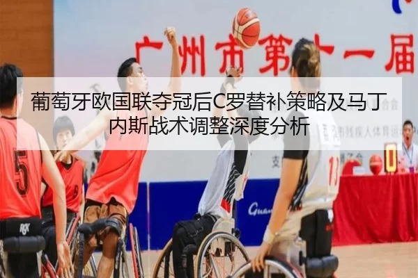pu-tao-ya-ou-guo-lian-duo-guan-hou-luo-ti-bu-ce-lve-ji-ma-ding-nei-si-zhan-shu-tiao-zheng-shen-du-fen-xi-2-263.jpg